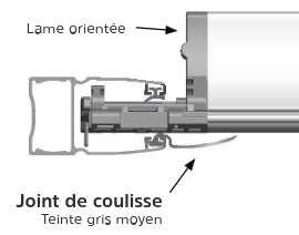 Joint LameOrientable